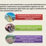 Identificación de agentes contaminantes en el suelo