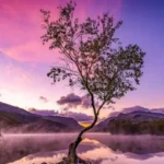Imágenes impactantes de belleza natural en paisajes