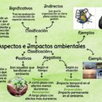 Impacto ambiental: definiciones y ejemplos positivos y negativos
