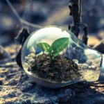 Impacto de la tecnología en el medio ambiente