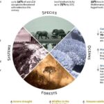 Impacto de la vegetación en el clima terrestre
