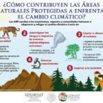 Impacto del cambio climático en la biodiversidad mundial