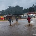 Impacto del cambio climático en nuestra vida diaria