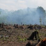 Impacto humano en el deterioro del medio ambiente