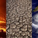 Impacto y orígenes del cambio climático en nuestro planeta