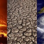Impactos del cambio climático en nuestro entorno y futuro