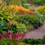 Impresionantes flores de gran tamaño para tu jardín