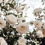 Inspiración de flores blancas para tu jardín