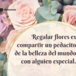 Inspiradoras frases sobre flores para compartir alegría