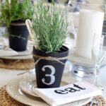 Inspírate con nombrar tus plantas favoritas