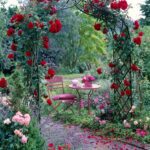 Inspírate para diseñar un jardín de rosales encantador