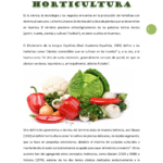 Introducción a la horticultura y sus beneficios esenciales