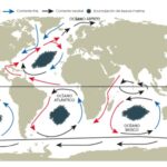Islas de plástico: origen y formación en nuestros océanos