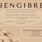 Jengibre: beneficios formas de uso y precauciones importantes