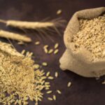 Kamut: propiedades y beneficios para tu salud y bienestar
