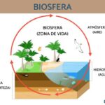 La biosfera: sus capas y características esenciales
