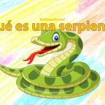La clasificación de la serpiente: vertebrado o invertebrado
