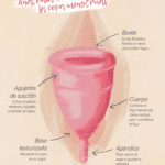 La copa menstrual ideal para ti
