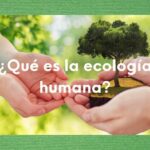 La ecología humana: comprensión de nuestra relación con el entorno