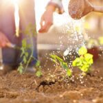La relevancia de la horticultura en el cuidado ambiental
