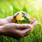La relevancia de proteger nuestro medio ambiente