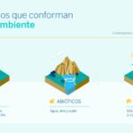 La relevancia del medio ambiente en nuestras vidas