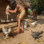La vida cotidiana de las tribus amazónicas