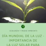 La vital importancia de la luz solar para los seres vivos