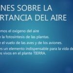 La vital importancia del aire para los seres vivos