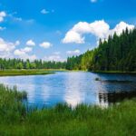 Lago vs Pantano: Características y Principales Distinciones