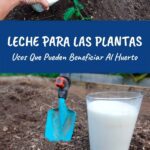 Leche para plantas: usos y beneficios esenciales