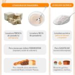 Levaduras: características variedades y ejemplos destacados