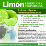 Limón: beneficios propiedades y precauciones a considerar