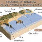 Litorales: definición tipos ecosistemas y ejemplos clave