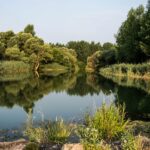 Llanura aluvial: Definición características flora y fauna