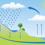 Lluvia: definición formación tipos y métodos de medición
