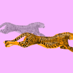 Los animales más veloces del planeta y sus velocidades