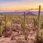 Los destinos con las temperaturas más extremas del planeta
