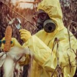 Los riesgos de los alimentos transgénicos para la salud