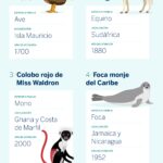 Mamíferos en riesgo crítico de desaparecer del planeta