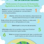 Maneras efectivas de proteger la capa de ozono