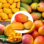 Mango: beneficios propiedades y efectos secundarios saludables
