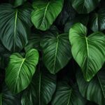 Maravillas de la vegetación con hojas exuberantes