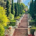 Maravillas del reino vegetal: plantas sin flores