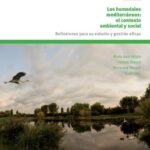Marjales: características y procesos de formación explicados