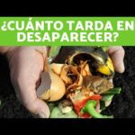 Materiales con rápida degradación: una guía esencial