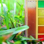 Métodos efectivos para determinar el pH del suelo