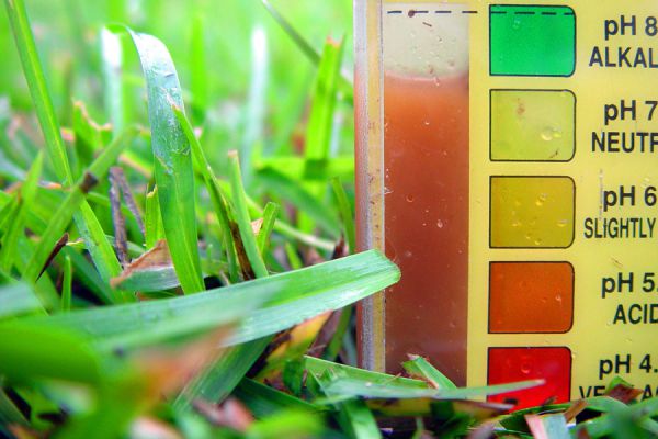 Métodos efectivos para determinar el pH del suelo - Ecoarmonia