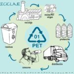 Métodos efectivos para reciclar el PET correctamente