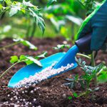 Métodos eficaces para nutrir plantas con abonos y fertilizantes